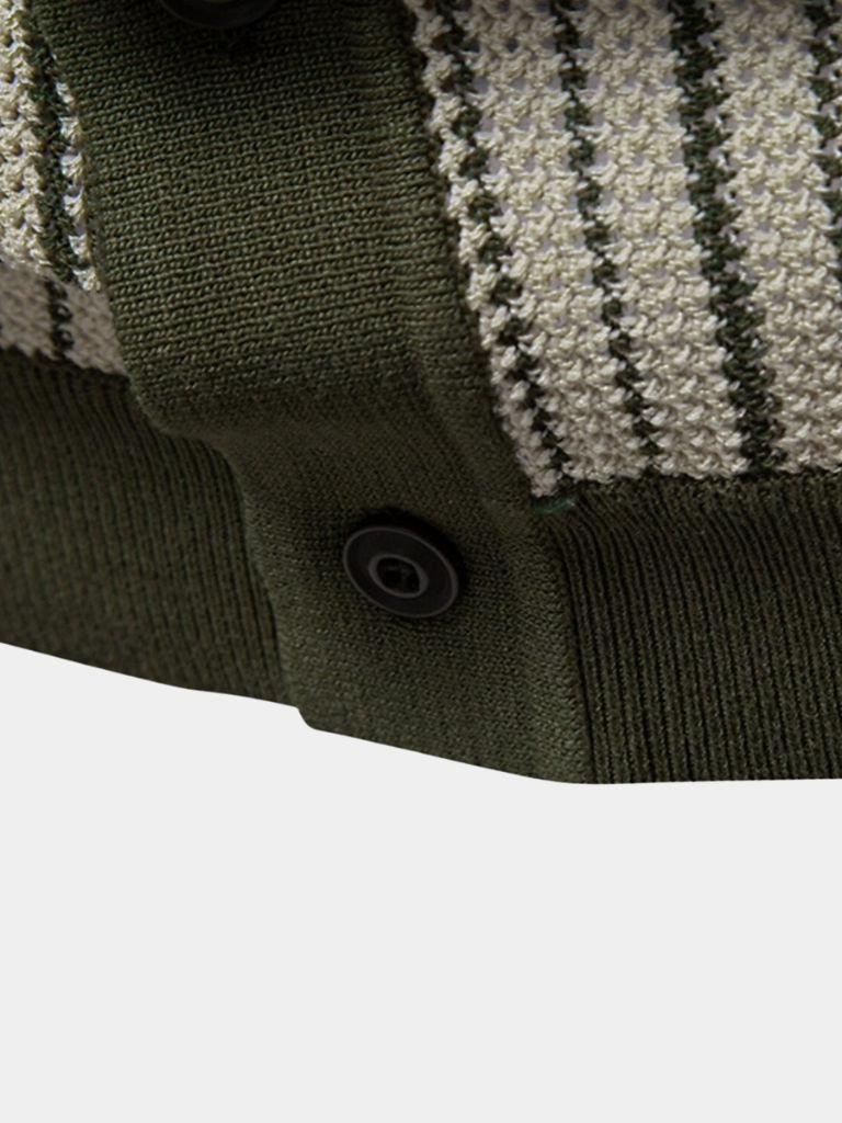 Striped Knit Polo Shirt
